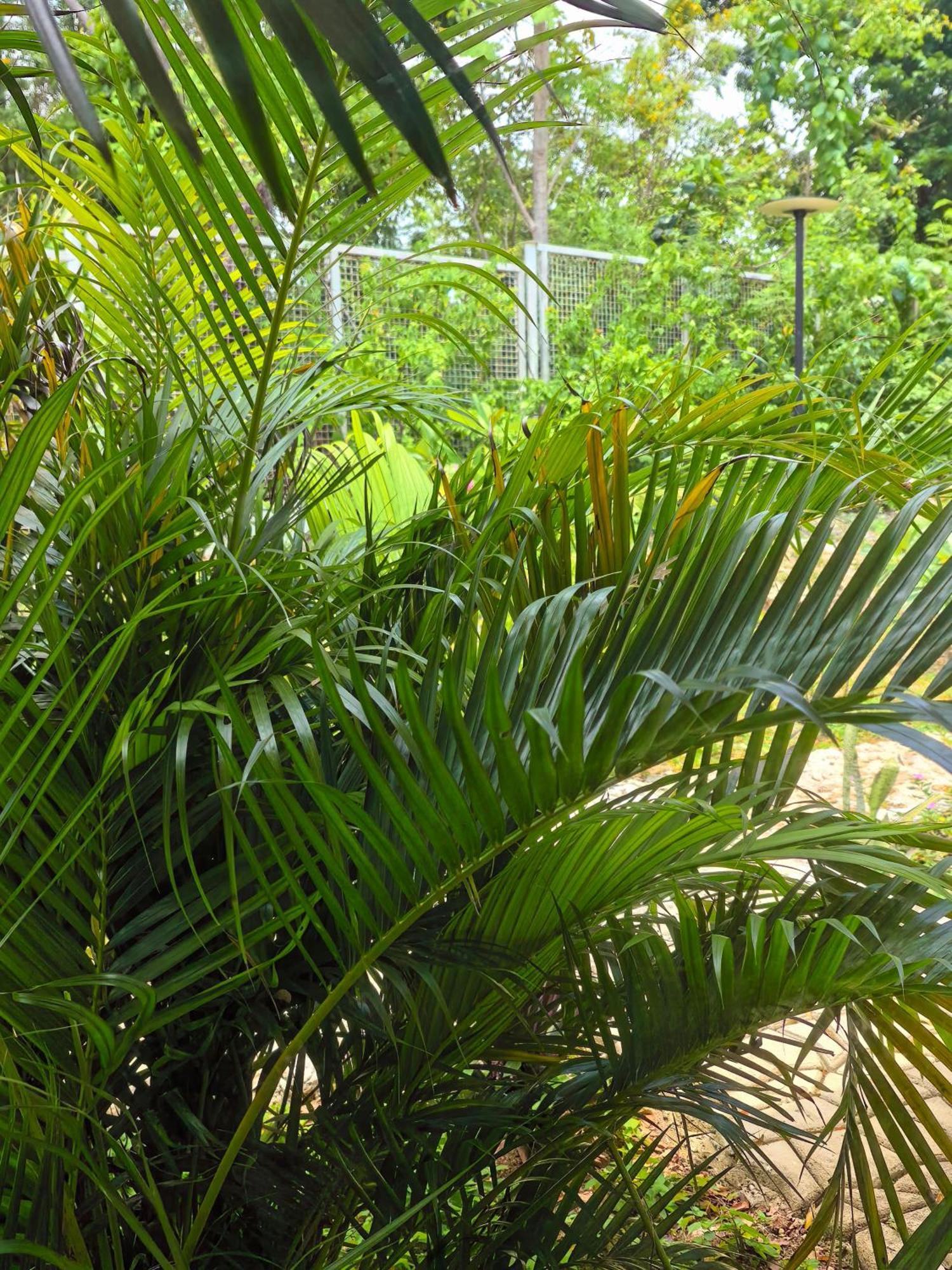 Blue Joys Msr Hotel Siquijor Luaran gambar