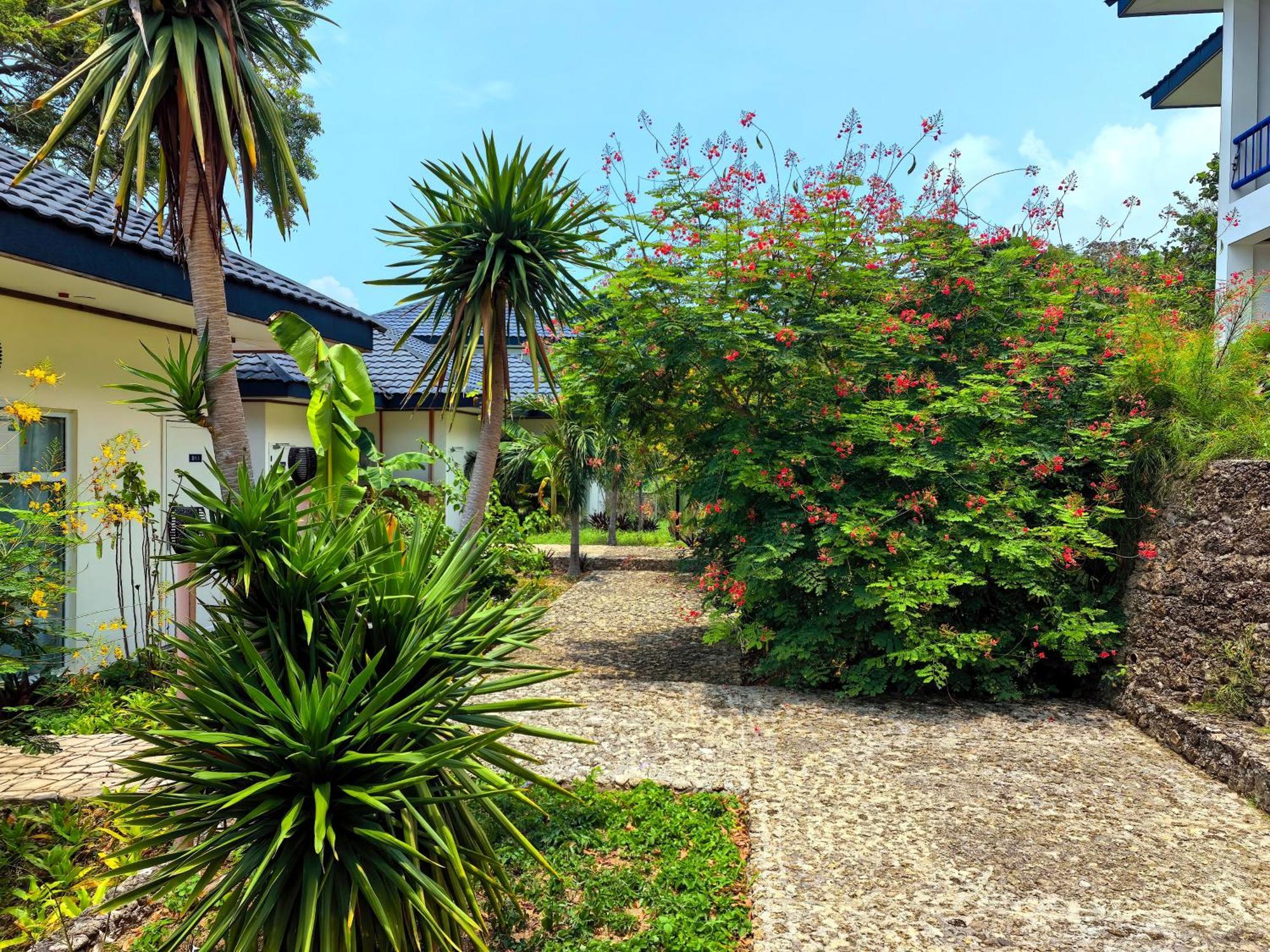 Blue Joys Msr Hotel Siquijor Luaran gambar